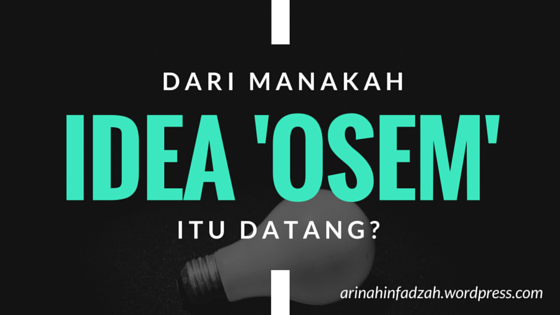IDEA OSEM